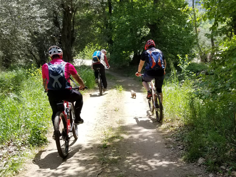 Central Pelion cycle tour